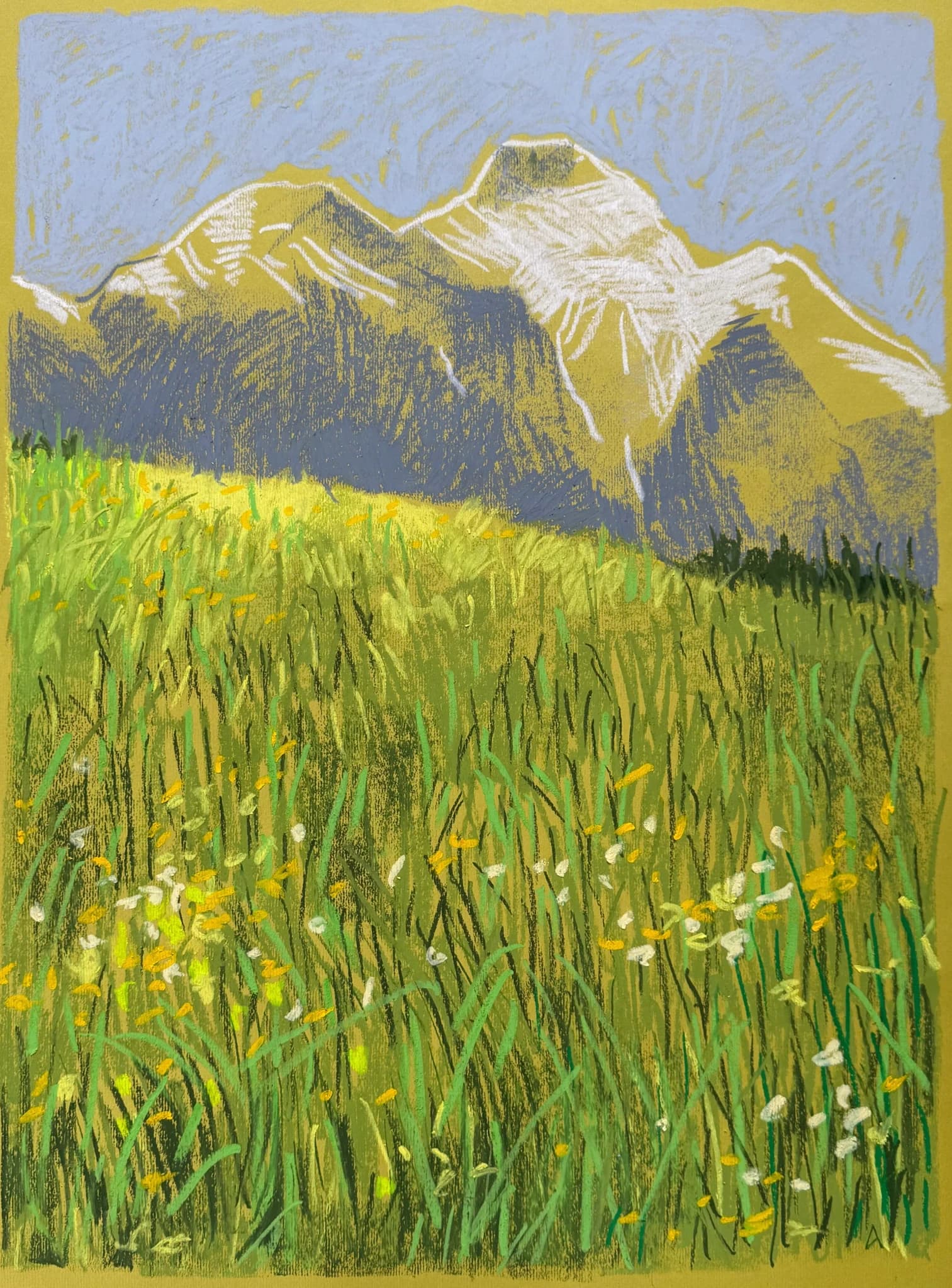 Yellow Field