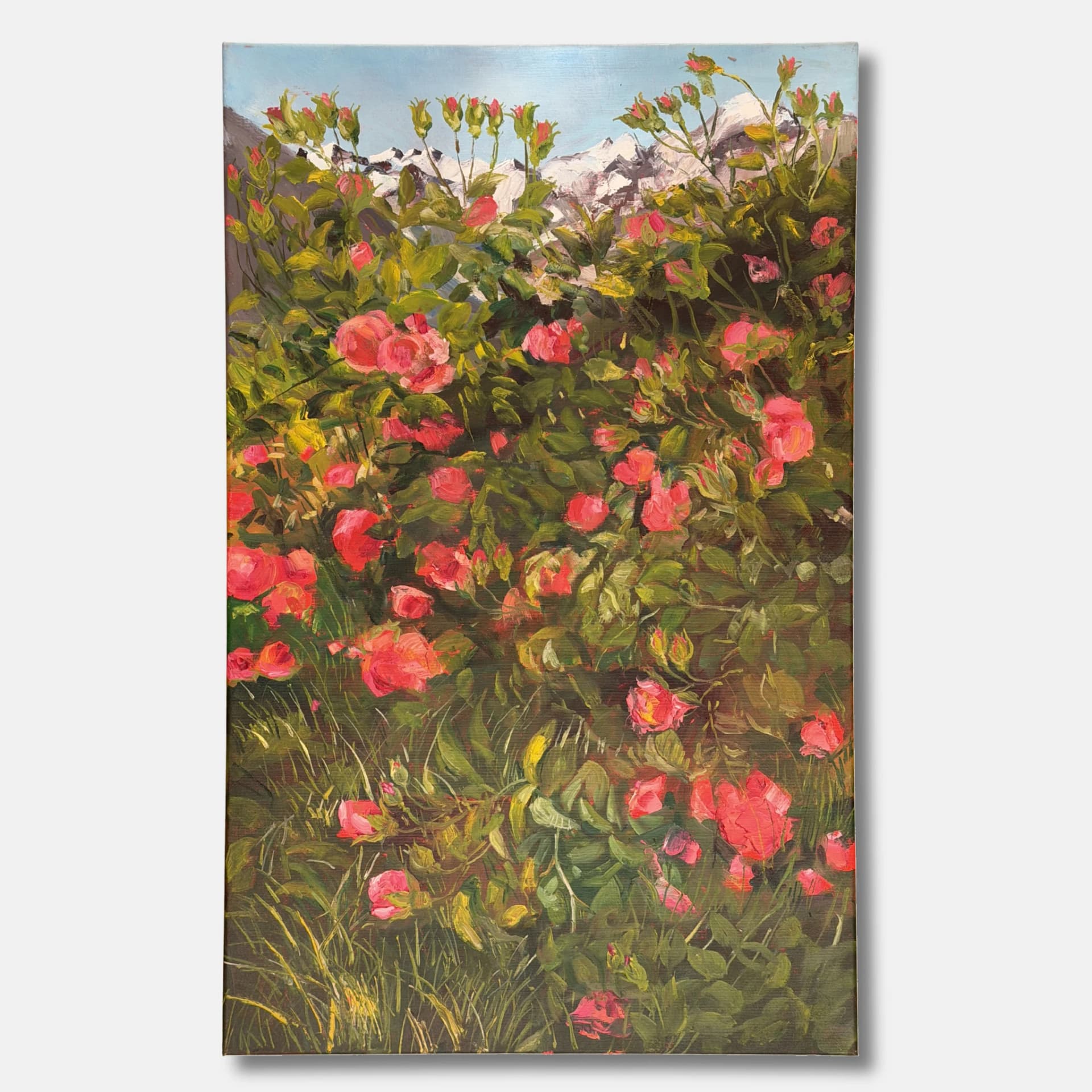 Roses and Peaks — alternate view