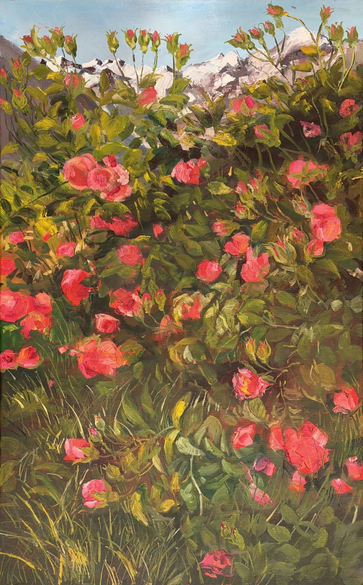 Roses and Peaks