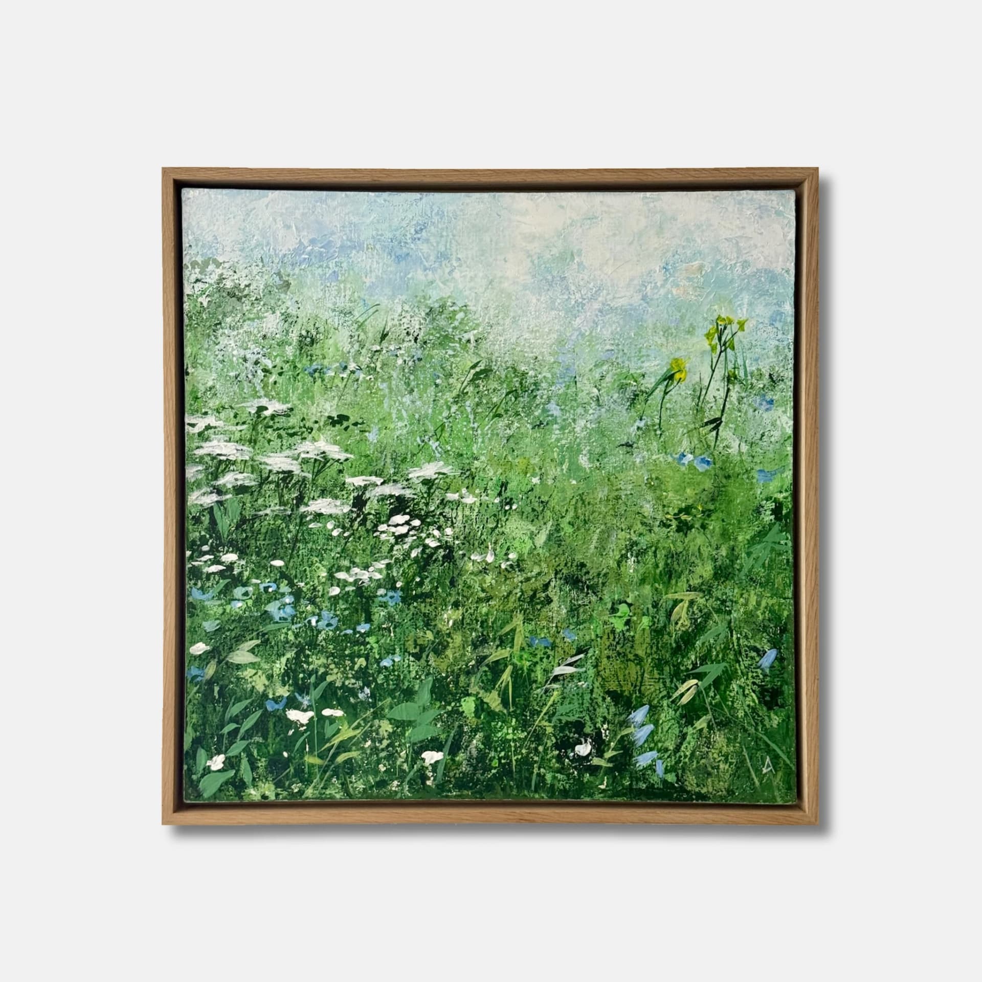 Field — alternate view