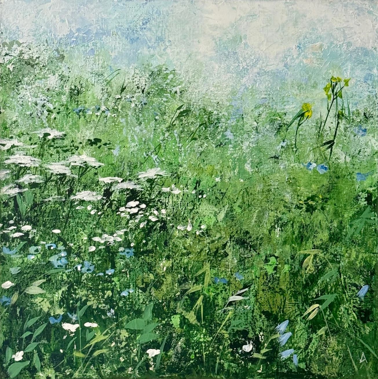 Field
