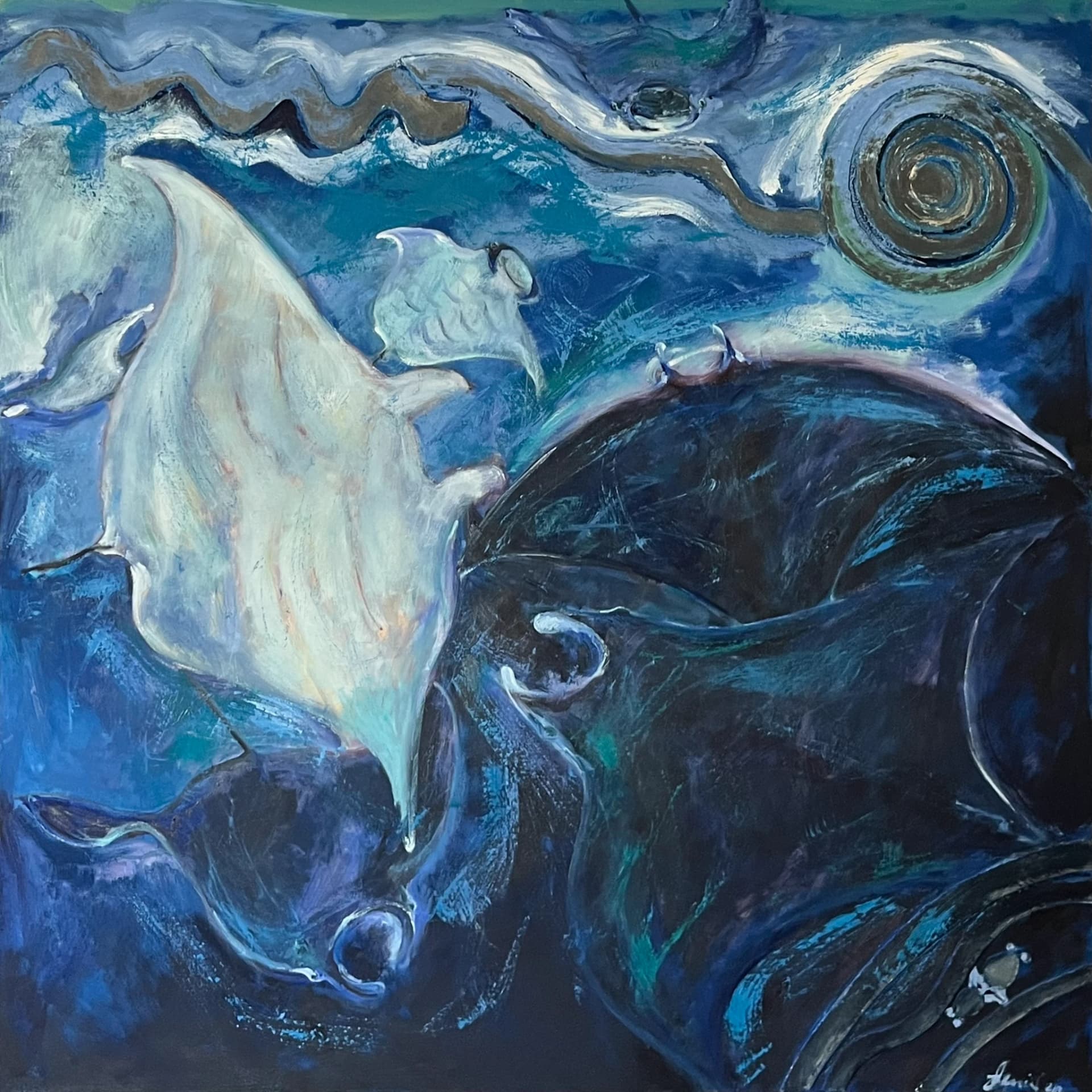 Tanz der Teufelsrochen (Mantas)