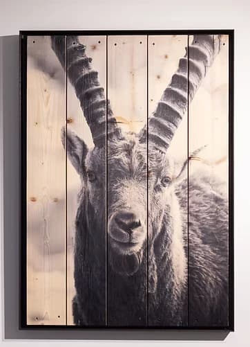 Face To Face - On Wood