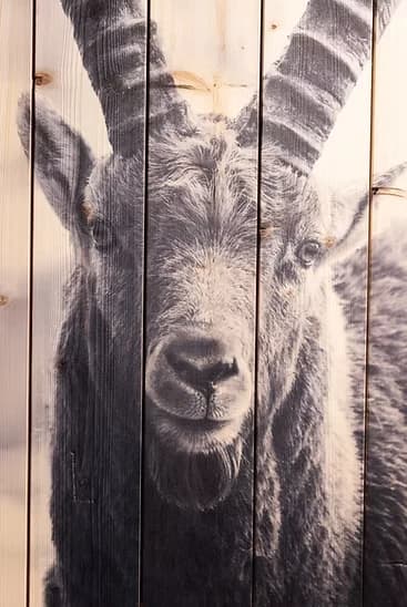 Face To Face - On Wood — alternate view
