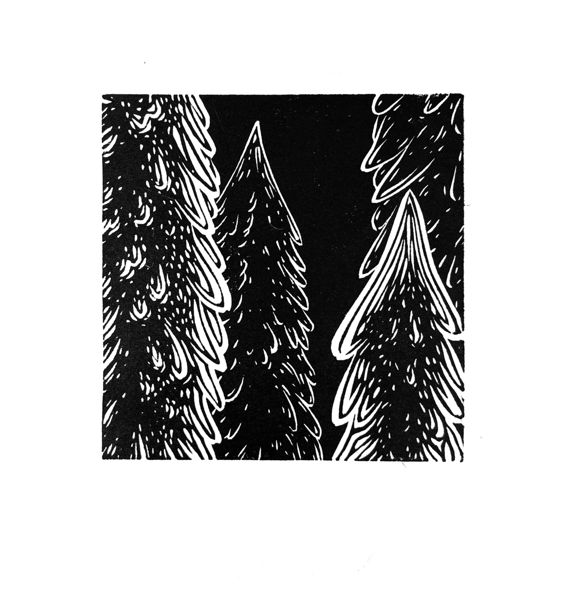 Landscape Fragment no19