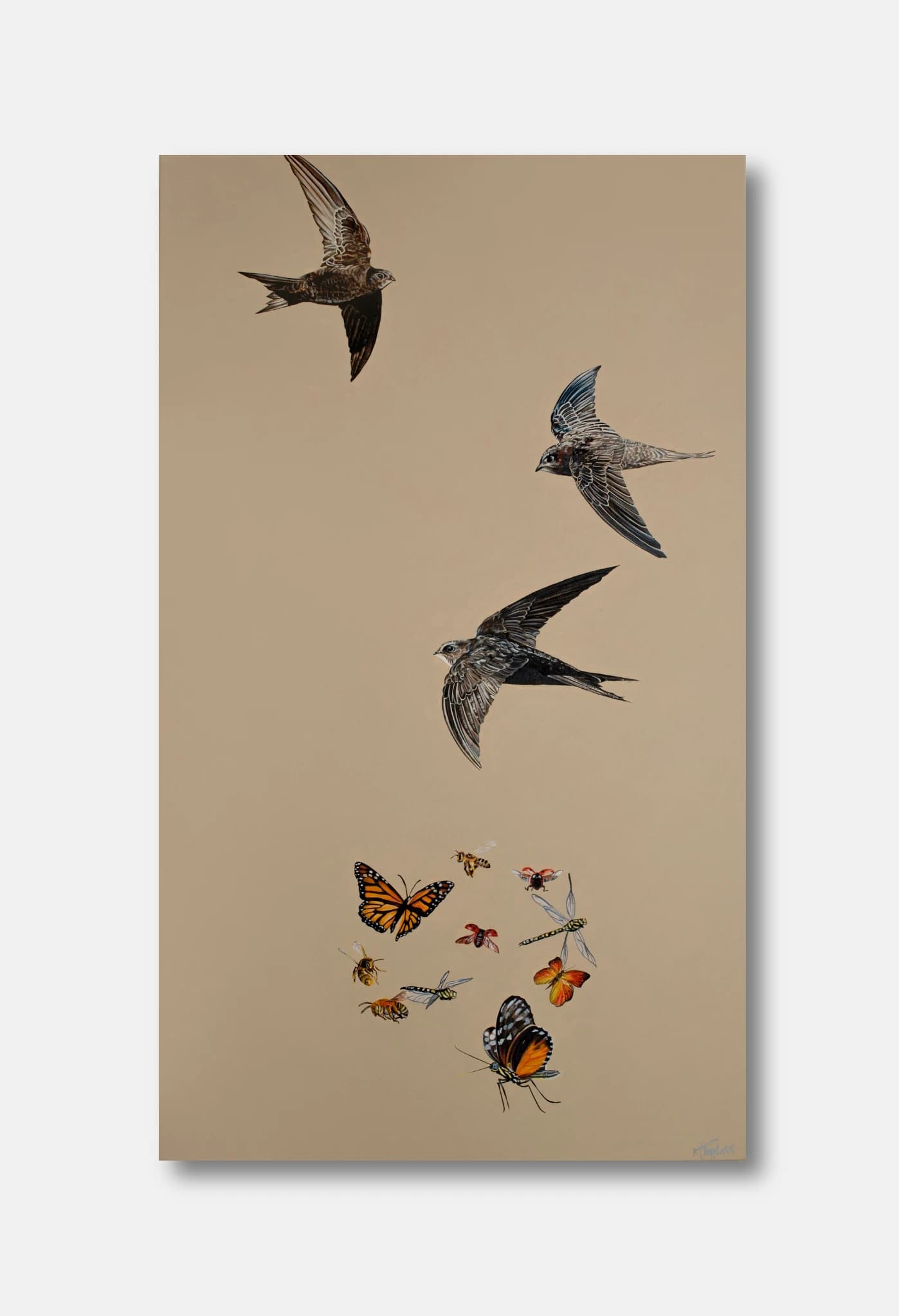 Rapid Swifts and Beautiful Insects — alternate view
