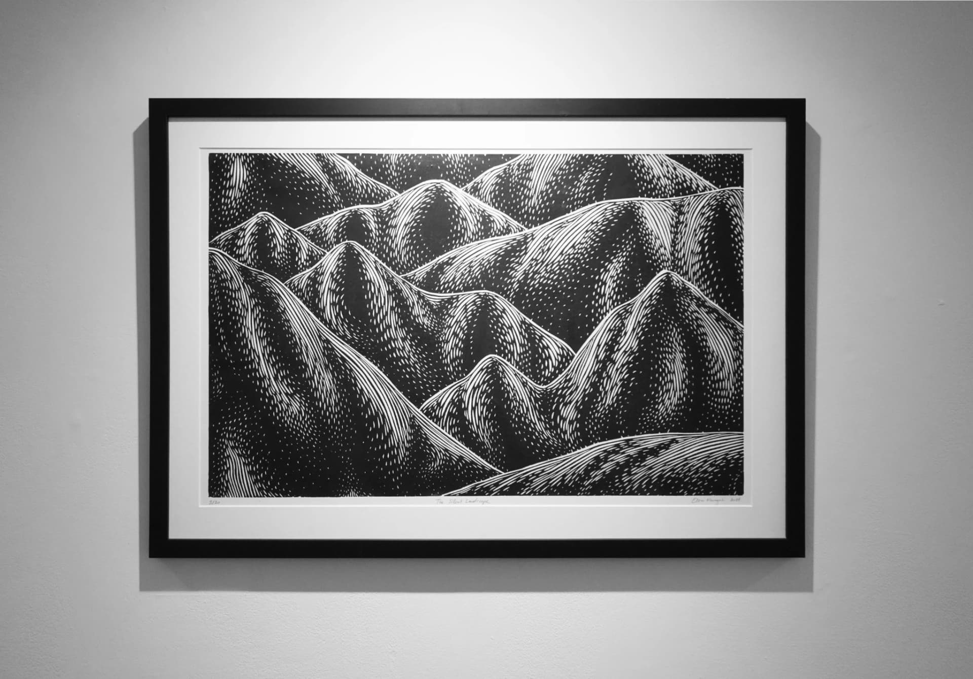 The Silent Landscape
