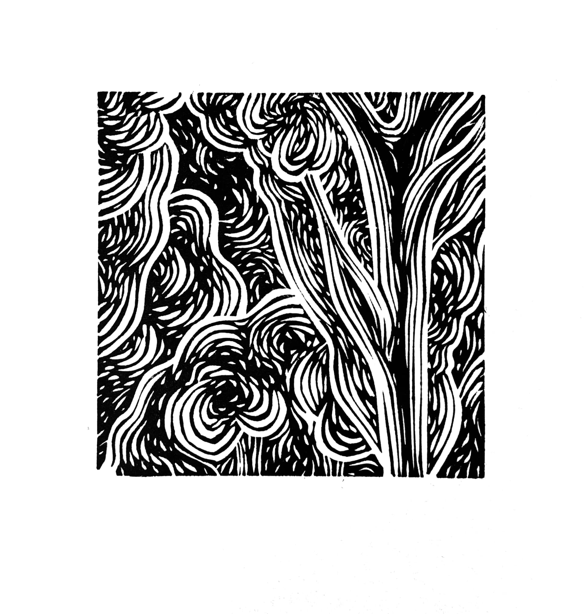 Landscape Fragment no24