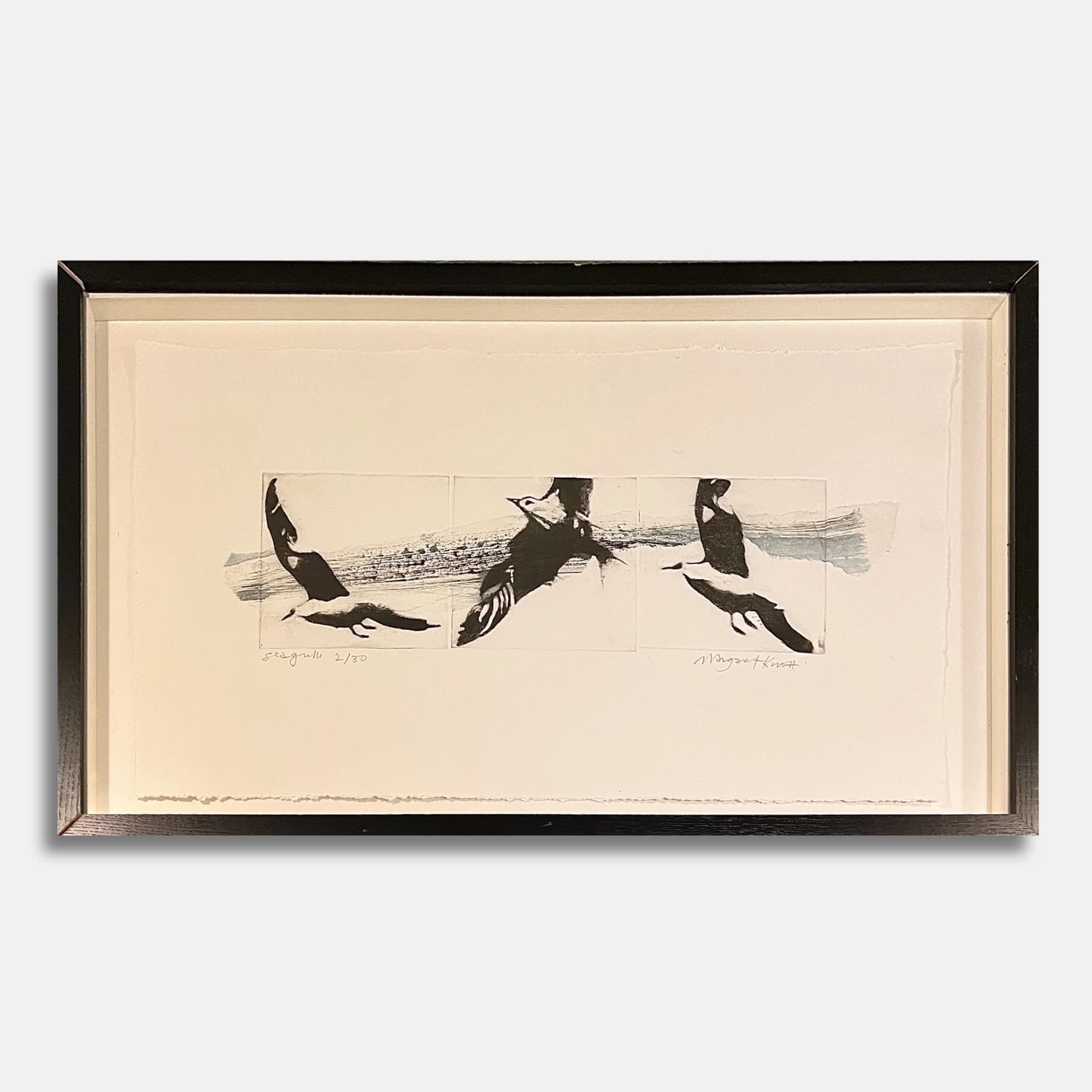 Seagulls — alternate view