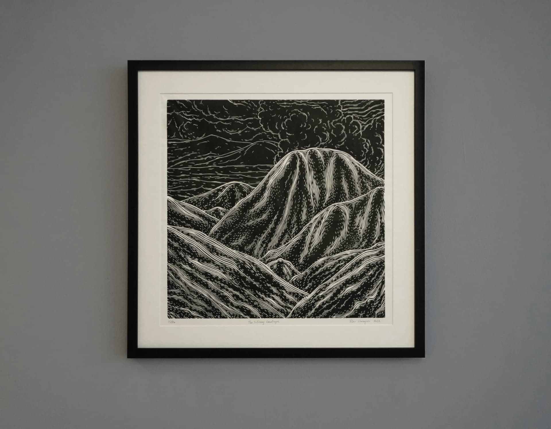 The Solitary Landscape