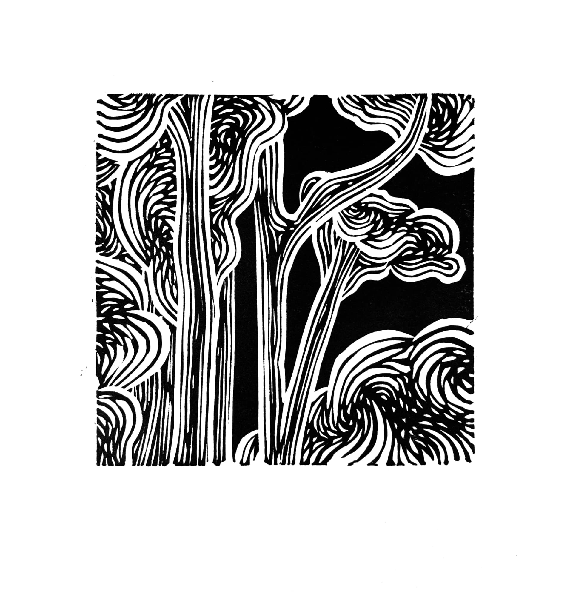 Landscape Fragment no21