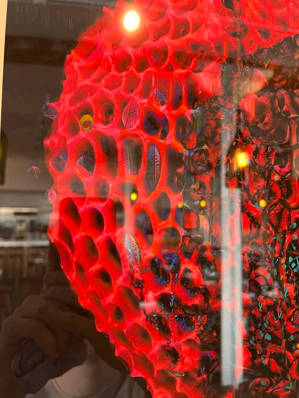 Cocoon — alternate view